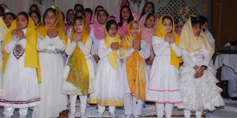 milaad-zcss (48)